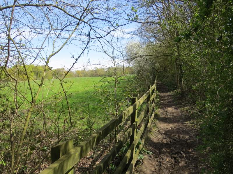 Pete's Walks Circular walk from Amersham Old Town (page 3 of 6)